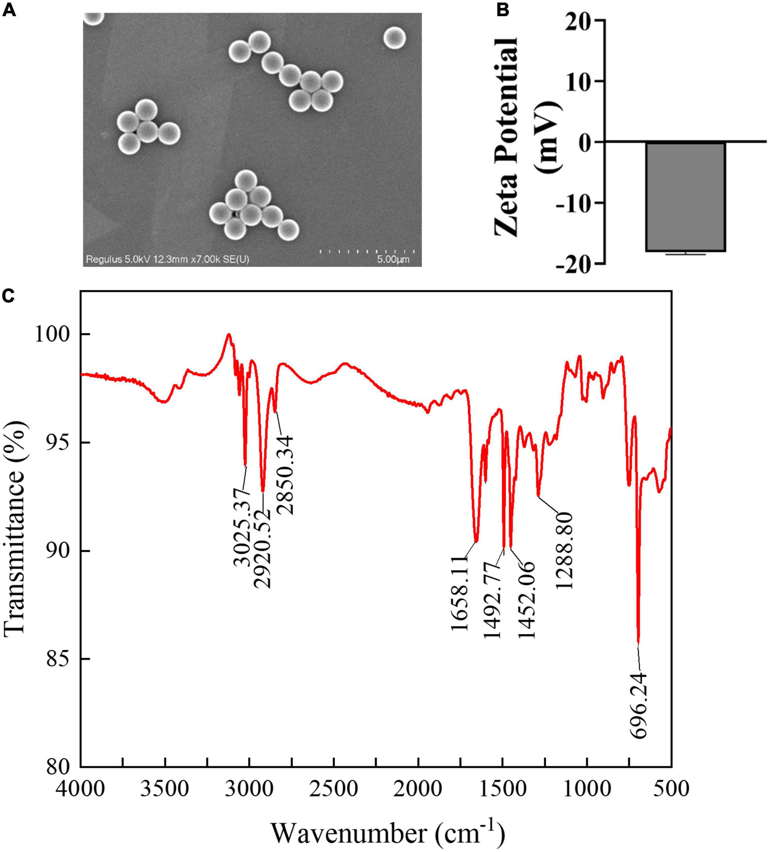 Polystyrene microplastics induced nephrotoxicity associated with oxidative stress, inflammation, and endoplasmic reticulum stress in juvenile rats